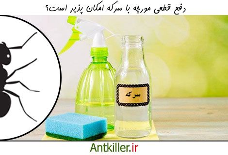 آیا مورچه ها با سرکه از بین می روند؟