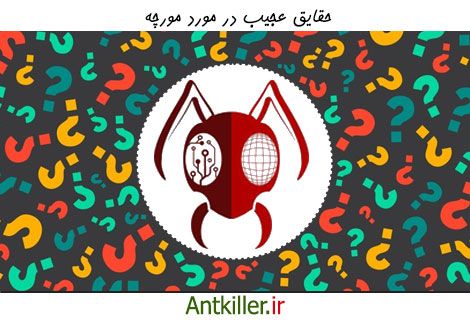 عجایبی در مورد زندگی مورچه ها